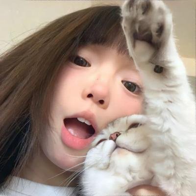 神秘的旅伴